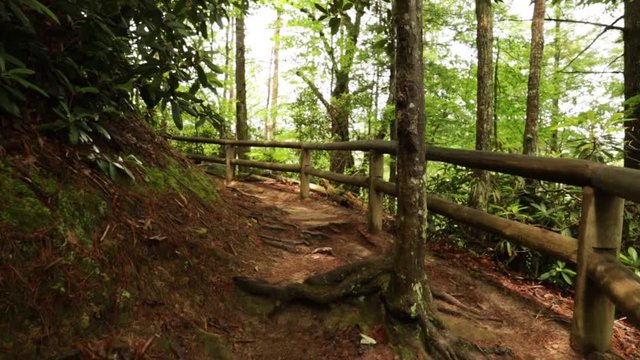 Nature Hike at Natural Bridge State Park, Kentucky