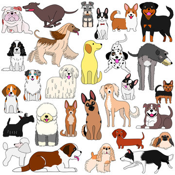 doodle of various dogs