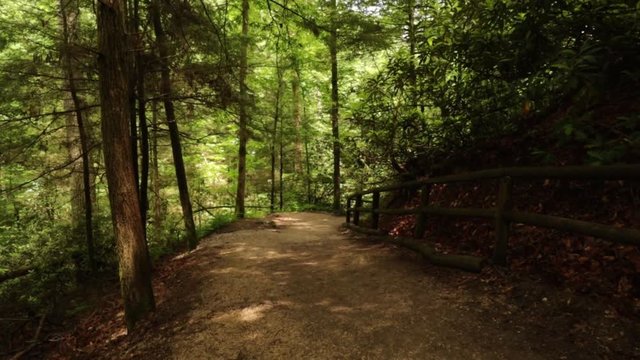 Nature Hike at Natural Bridge State Park, Kentucky