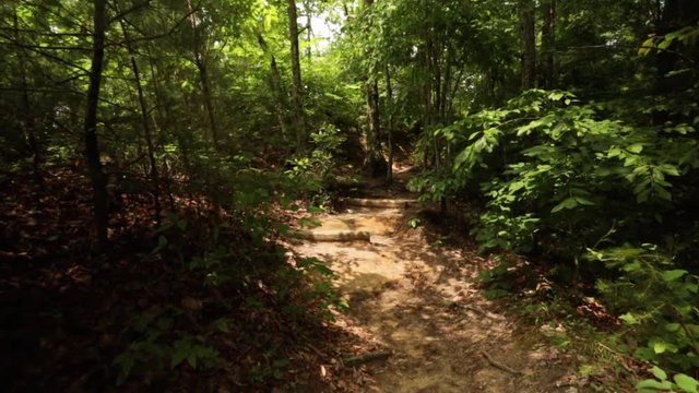 Nature Hike at Natural Bridge State Park, Kentucky