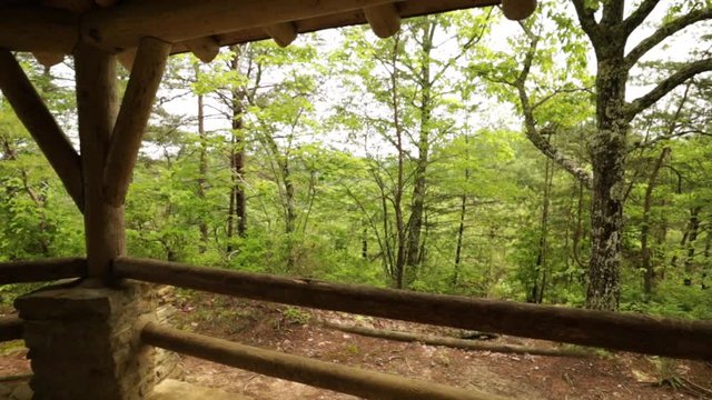 Nature Hike at Natural Bridge State Park, Kentucky