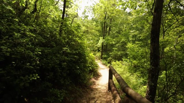 Nature Hike at Natural Bridge State Park, Kentucky