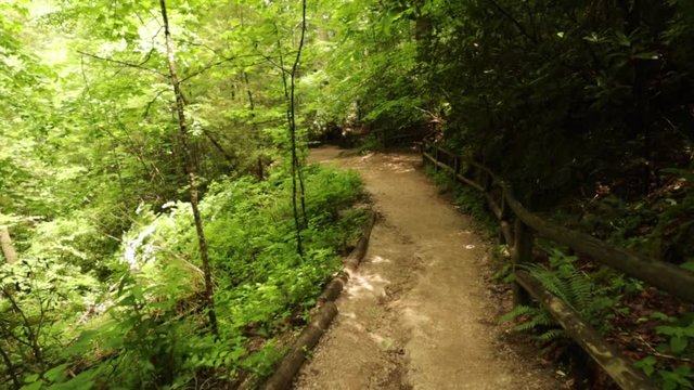 Nature Hike at Natural Bridge State Park, Kentucky