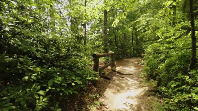 Nature Hike at Natural Bridge State Park, Kentucky