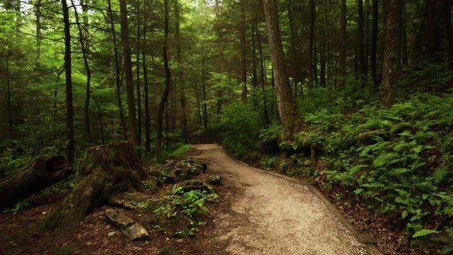 Nature Hike at Natural Bridge State Park, Kentucky