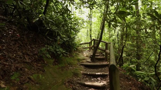 Nature Hike at Natural Bridge State Park, Kentucky