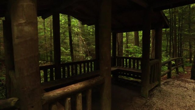 Nature Hike at Natural Bridge State Park, Kentucky