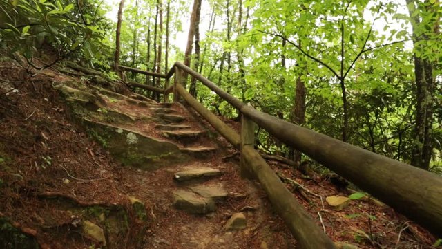 Nature Hike at Natural Bridge State Park, Kentucky