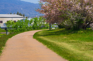 猪名川の堤防の風景