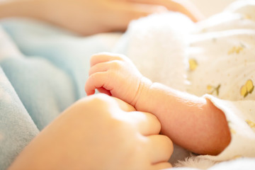 Fototapeta na wymiar お母さんの手の上に生まれて2週間の赤ちゃんの手
