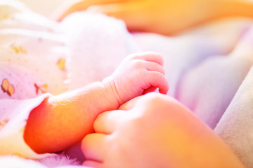 お母さんの手の上に生まれて2週間の赤ちゃんの手