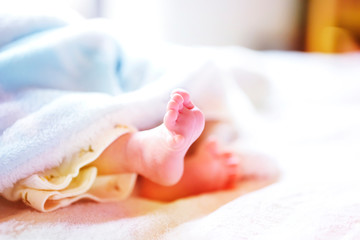 Obraz na płótnie Canvas 生後2週間の赤ちゃんの足