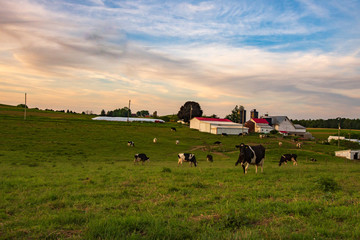 Appalachian dairy farm at twilight