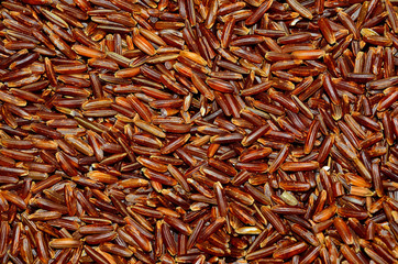 Red cargo rice
