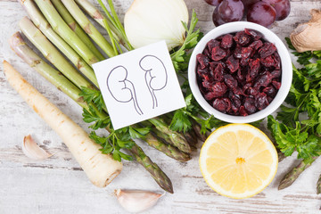 Drawing of kidneys and healthy eating as source vitamins and minerals