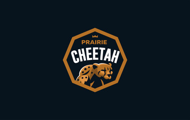 The image of a cheetah.