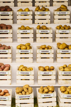 Types Of Potatoes In Wooden Containers