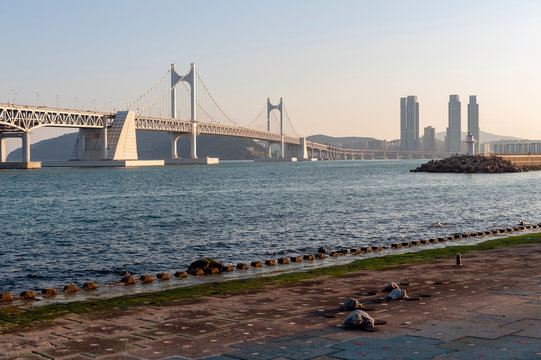 Scenic view of Busan Gwangandaegyo Bridge (Diamond Bridge), a suspension bridge connecting Haeundae-gu to Suyeong-gu in Busan, South Korea