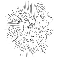  hand drawn sketch with tropical leaves and flowers isolated on white background. Exotic botanical design elements for wedding invitation cards, cosmetics, spa, perfume, beauty salon. Line art