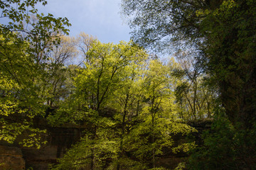 Starved Rock State Park, Illinois