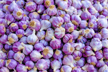 indian garlic , background