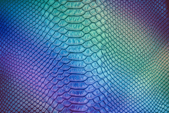Close up of Luxury snake skin texture