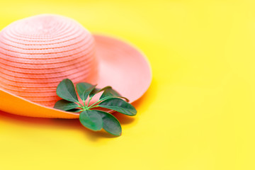 hat and green leaf tropical flatlay on yellow color background, top view.