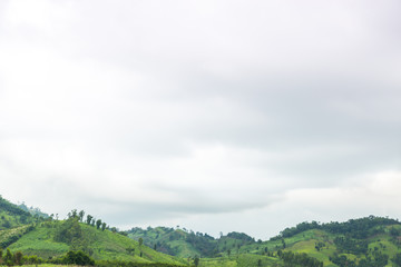 Fototapeta na wymiar Green hills and sky