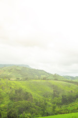 Obraz premium Green hills and sky