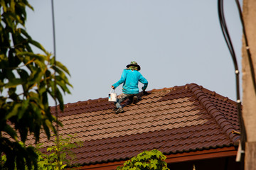 Roof Painting. Home repair worker painting up to the roof.