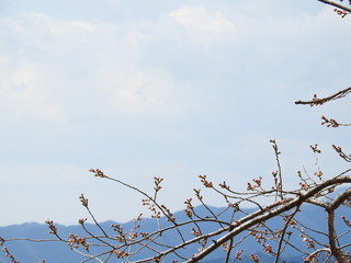 view from mountain
