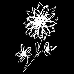 Abstract wildflower outline icon isolated on black background. Creative luxury fashion logotype concept icon. Hand Drawn  illustration. Wildflower logo. Sketch