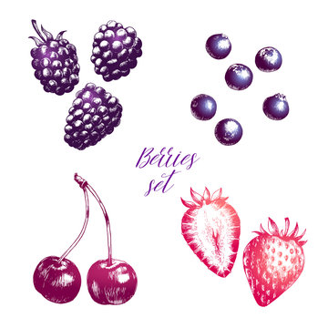 Hand drawn illustration of blackberry, bluberry, strawberry and cherry isolated on white background. Vector engraving fruit set.