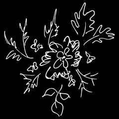 Abstract wildflowers isolated on black background. Hand Drawn  illustration. Outline icon