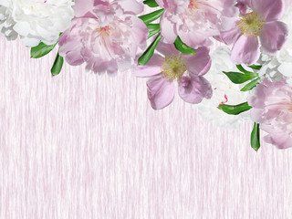 Beautiful floral background of peonies and rose hips. Isolated