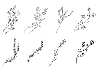 Flowers and branches hand drawn collection isolated on white background. Floral graphic elements...