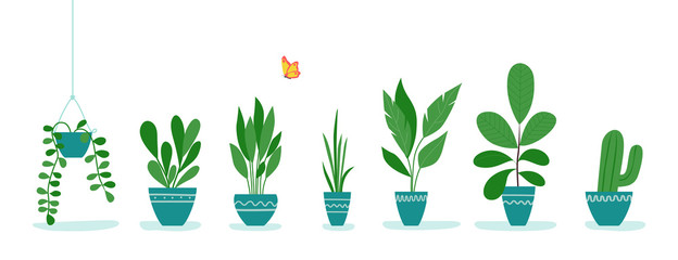 Fototapeta na wymiar Set of office plants in pots. Vector flat style illustration
