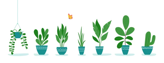 Tuinposter Set of office plants in pots.  Vector flat style illustration © lyudinka