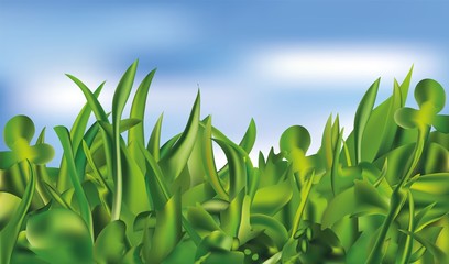 Obraz premium Nature. Field green grass. Spring green grass. 3d realistic landscape. Backround green grass. Vector illustrator.