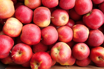 Fototapeta na wymiar pile of red ripe apples