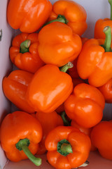 orange bell peppers in the market