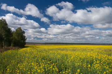 Obraz premium Mother Earth