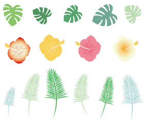 Illustration of monstera and palm and hibiscus icons.