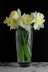 Bouquet of narcissus. Spring flowers. Black and marble background