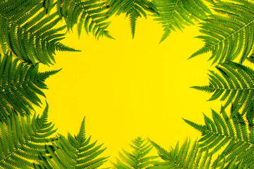 Fototapeta na wymiar Fern leaves or palm trees on a yellow background. Concept of the tropics. Copy space. Flat lay, top view
