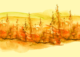Watercolor trees, forest, pine, spruce, landscape. Watercolor trees, forest, pine, spruce, landscape. Brown color, Orange, yellow. Vintage antique style. Forest landscape.Autumn suburban landscape.