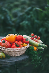 Organic vegetables grown without fertilizers.