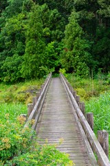 Obraz premium railway in forest