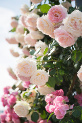 中之島のバラ園