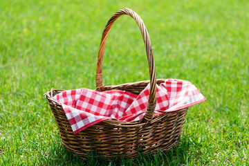 Empty picnic basket on green sunny lawn.